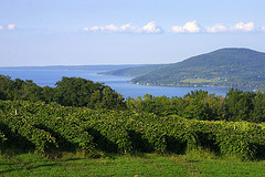 Sceneic View Canandaigua Lake in the Finger Lakes Wine Region