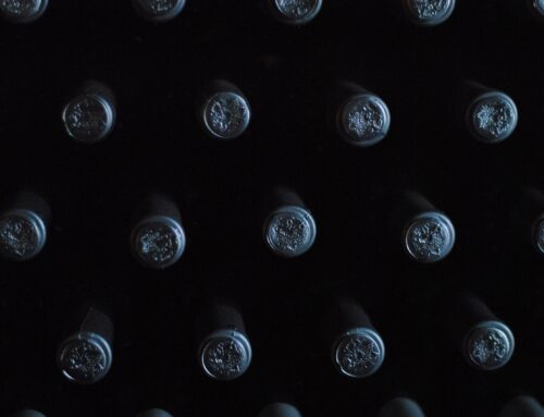 Unraveling the mysteries of wine